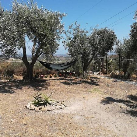 Villa Emma Con Panorama Etna A 10 Minuti Dal Mare 렌티니 외부 사진